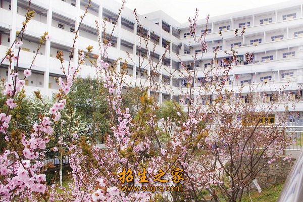 连云港大港高级职业中学