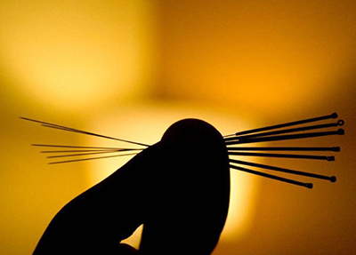 绵阳职业技术学院 绵阳职业技术学院