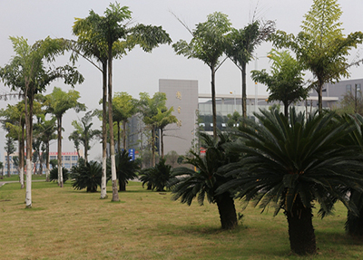 图书馆.jpg 图书馆.jpg