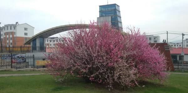 白山职业技术学校