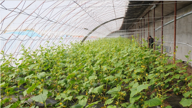 长春市农业学校