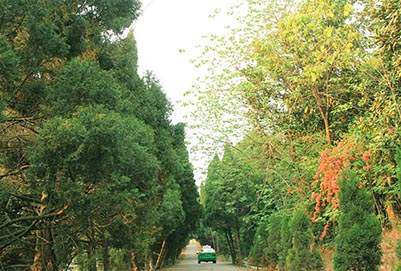【介绍】四川城市技师学院专业怎么样