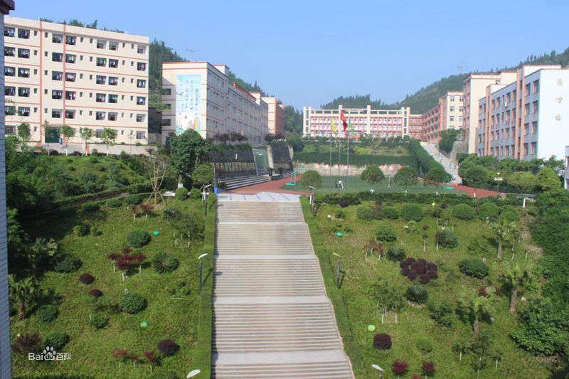 成都计算机网络技术培养要求是什么