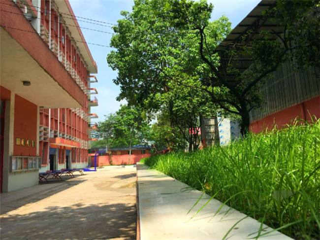 宜宾翠屏电子职业技术学校怎么样