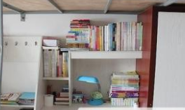 四川省仪陇县柳垭职业中学的学校环境怎么样