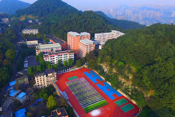 重庆南丁卫生学校