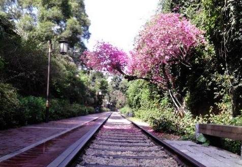 2019年成都高铁专业发展好不好？