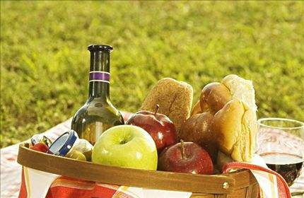 营养学专业就业方向有哪些？