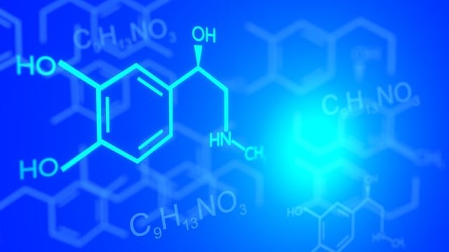 张家口名人新能源中等职业学校风电场机电设备运行与维护专业怎么样?