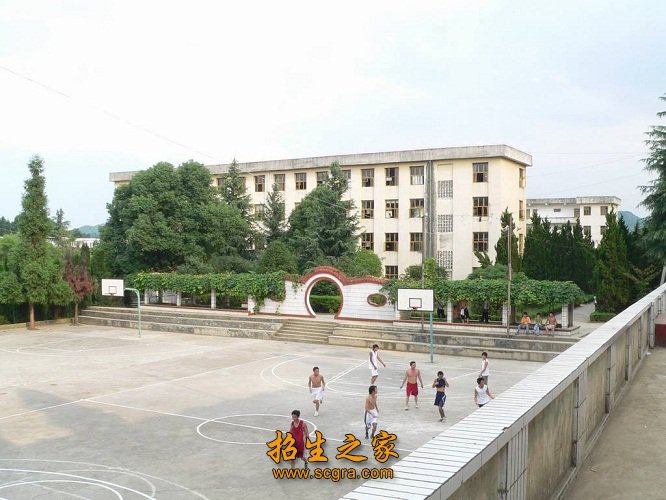 学校运动