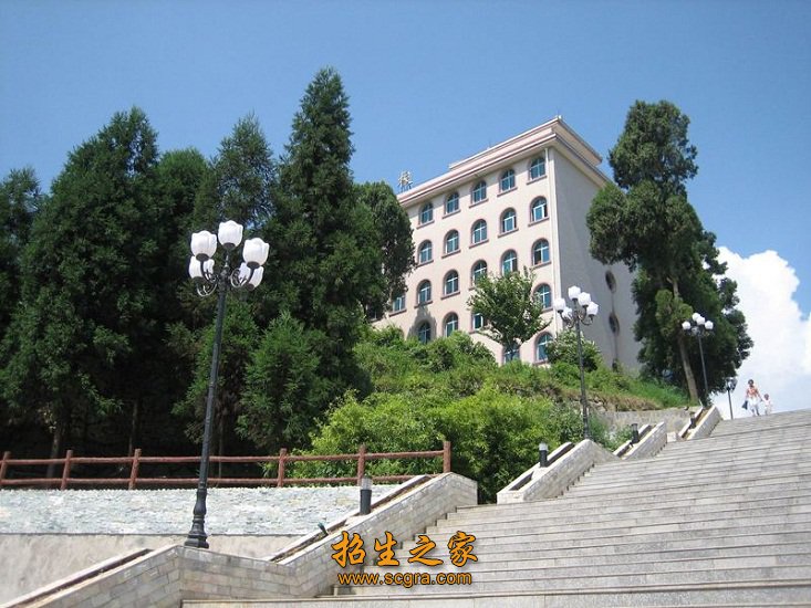 学校风光